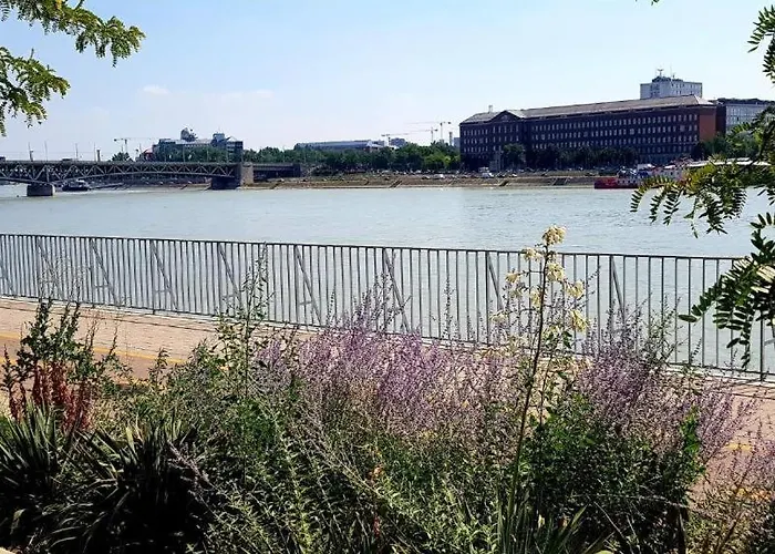 Danube Dream Appartement